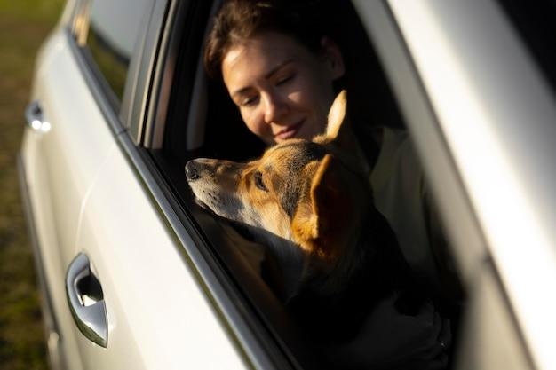 Cómo llegar tu perro en el coche para que no te multen